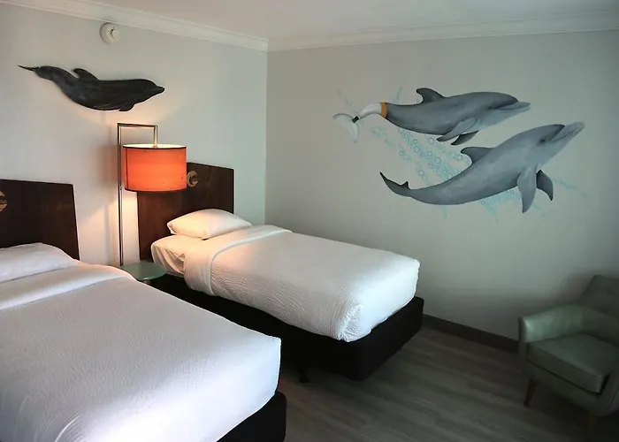 Dolphin Sands Clearwater Beach, An Ascend Collection 4*