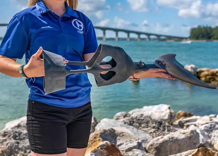 Hotel Dolphin Sands Clearwater Beach, An Ascend Collection Clearwater Beach