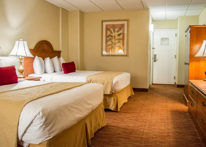 Dolphin Sands Clearwater Beach, An Ascend Collection 4* Clearwater Beach