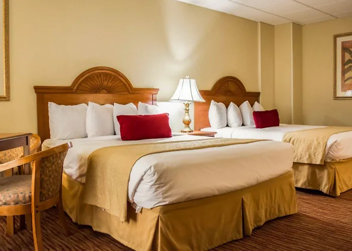 Hotel Dolphin Sands Clearwater Beach, An Ascend Collection Clearwater Beach
