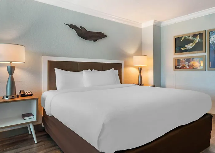Dolphin Sands Clearwater Beach, An Ascend Collection Hotel 4*