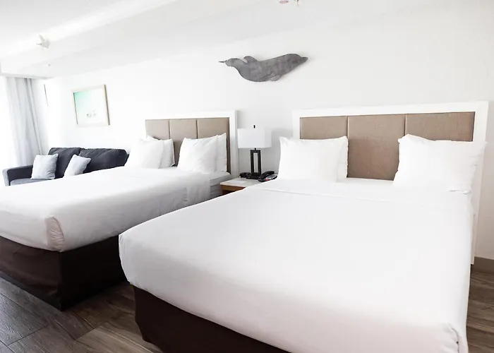 Dolphin Sands Clearwater Beach, An Ascend Collection Hotel