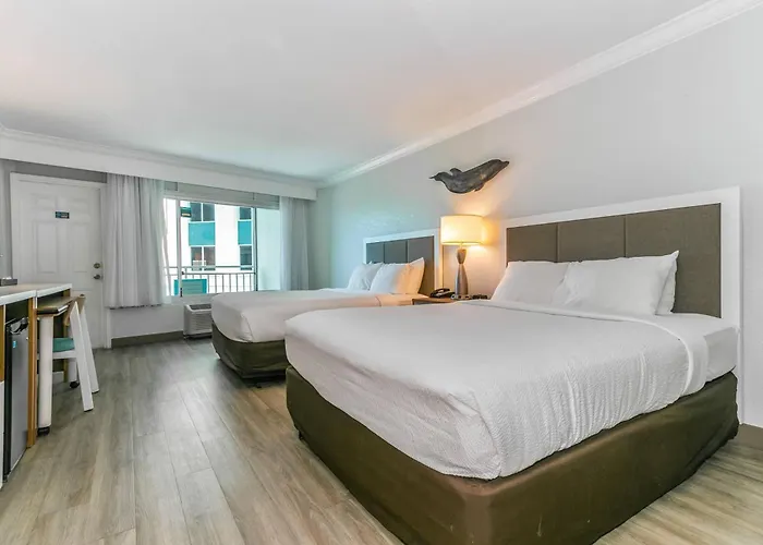 Hotel Dolphin Sands Clearwater Beach, An Ascend Collection