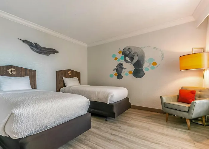 Hotel Dolphin Sands Clearwater Beach, An Ascend Collection 4*