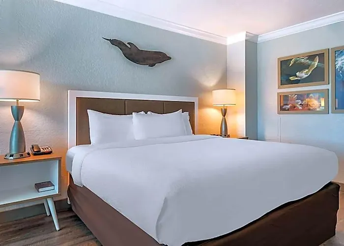 Dolphin Sands Clearwater Beach, An Ascend Collection Hotel 4*