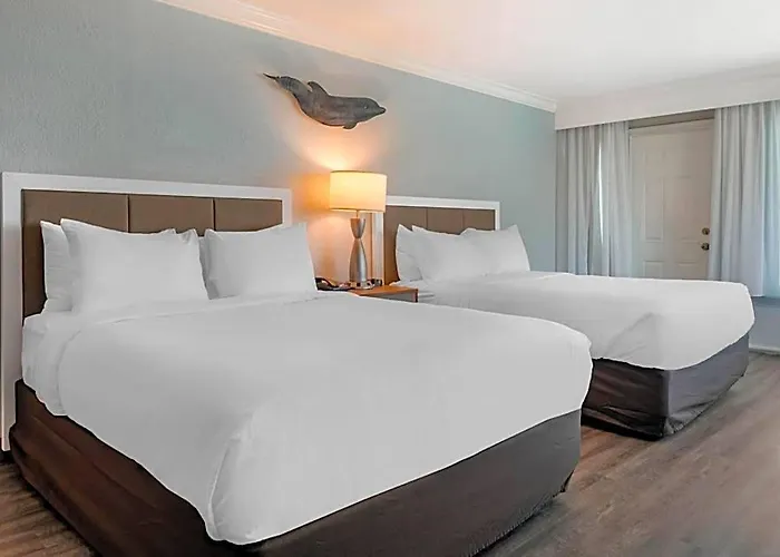 Dolphin Sands Clearwater Beach, An Ascend Collection 4* Clearwater Beach