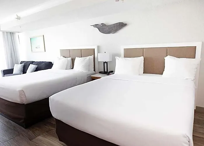 Dolphin Sands Clearwater Beach, An Ascend Collection